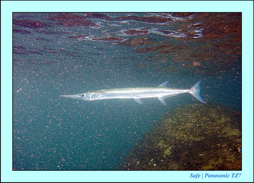 2011 - 07 - Koh Lipe 48